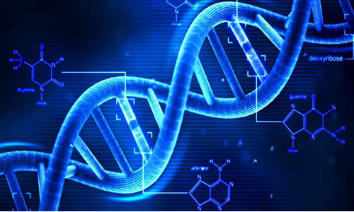 Sistem air tulen farmaseutikal dalam bioteknologi